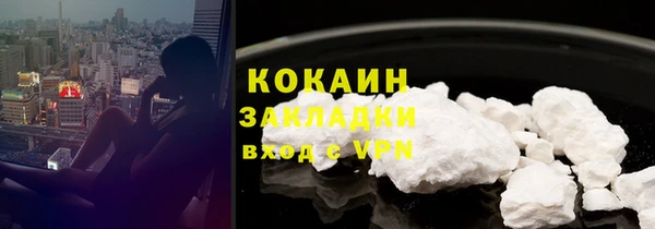 соль ск Арсеньев