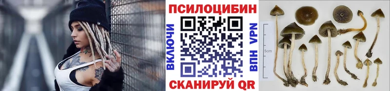 Псилоцибиновые грибы Psilocybine cubensis  Чудово 